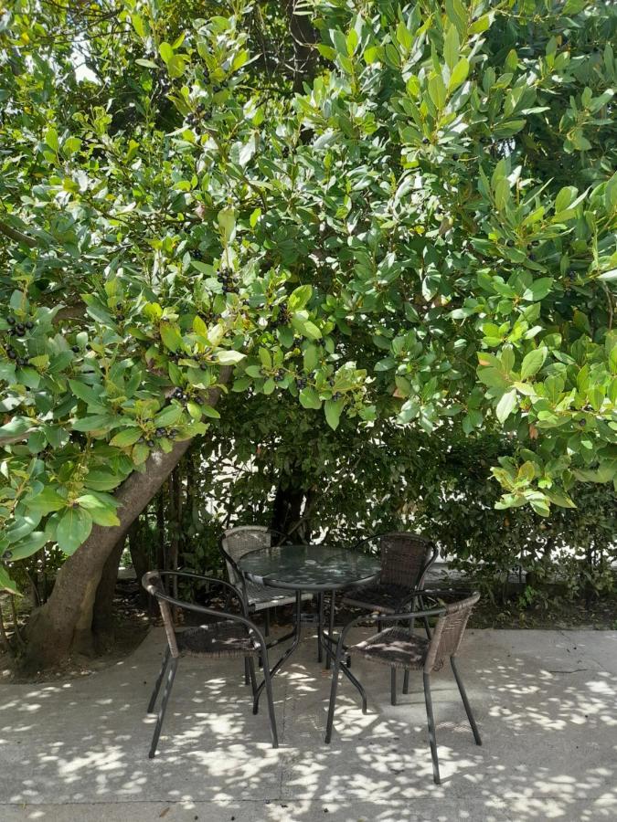 ריסאן Apartments Nikovic מראה חיצוני תמונה